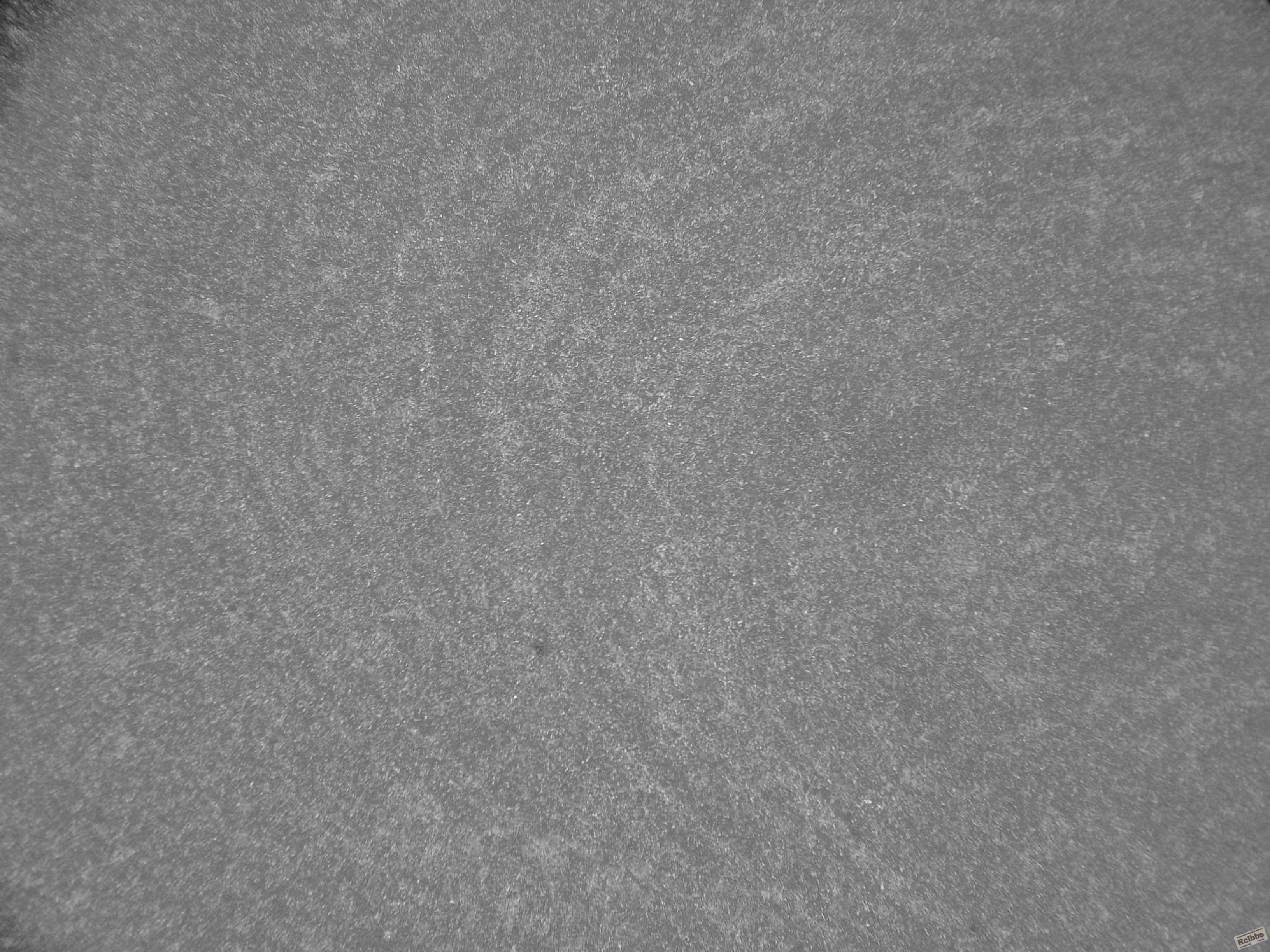 SDC13248.JPG
