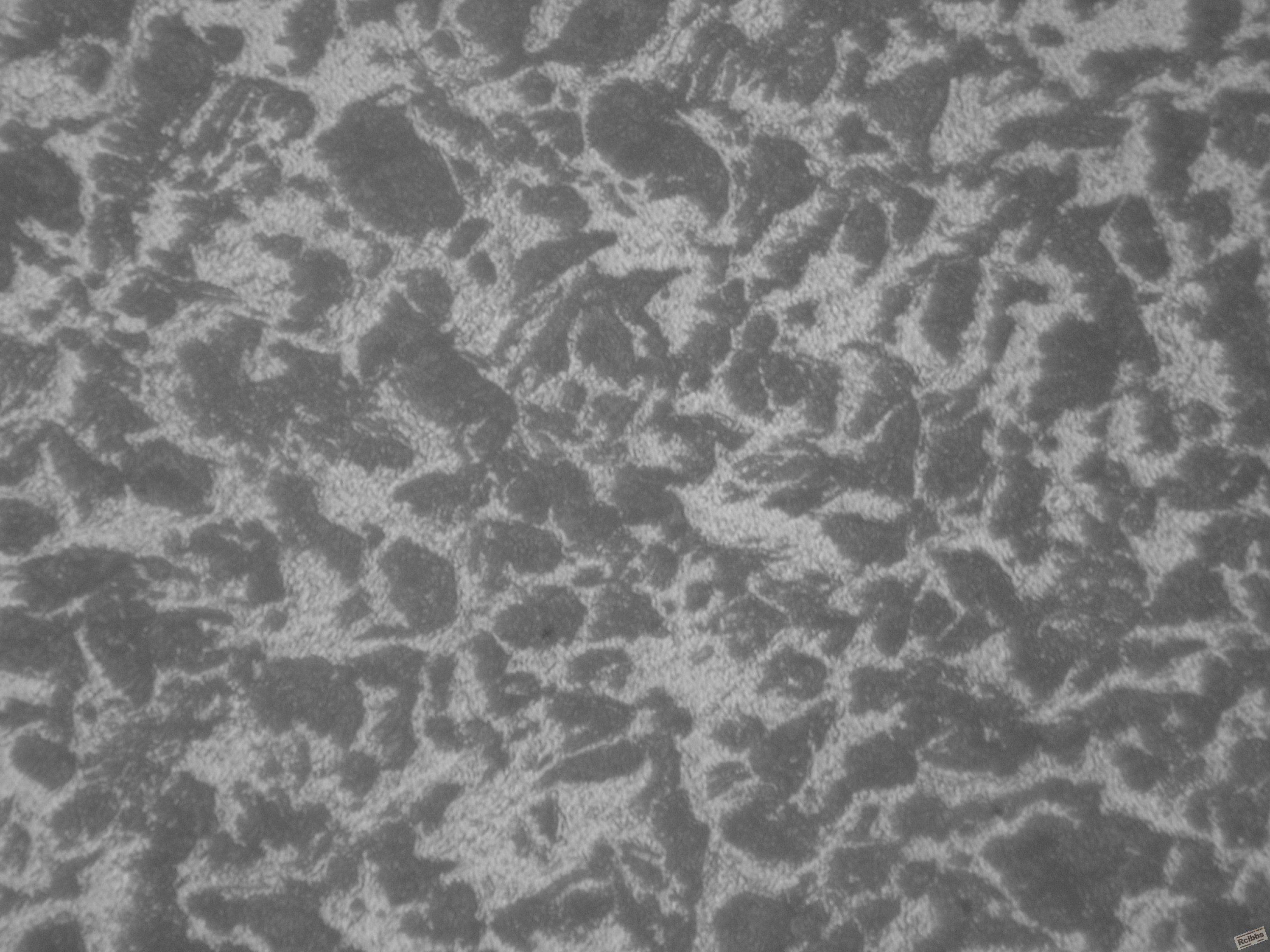 SDC13250.JPG