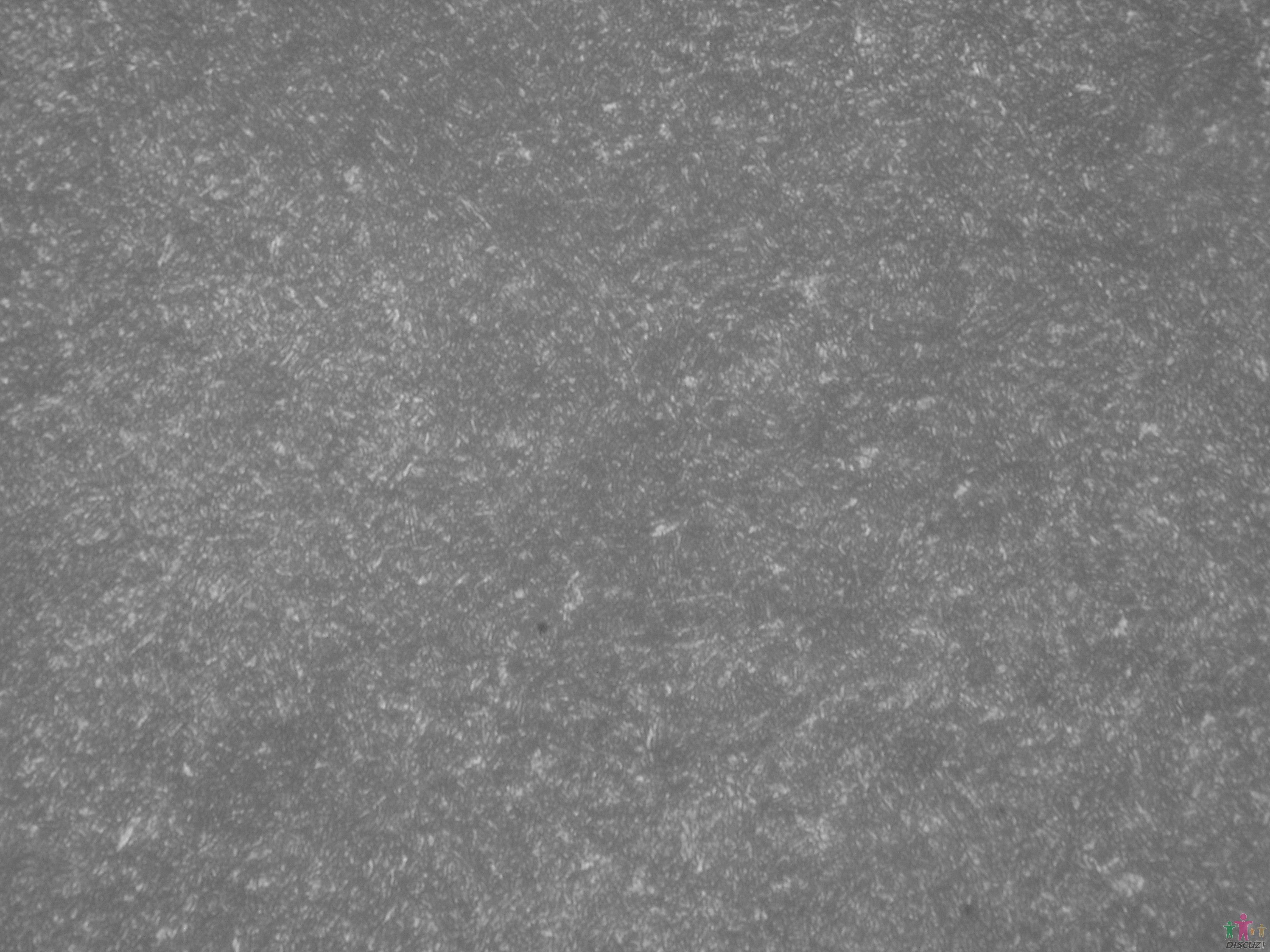 SDC13260.JPG