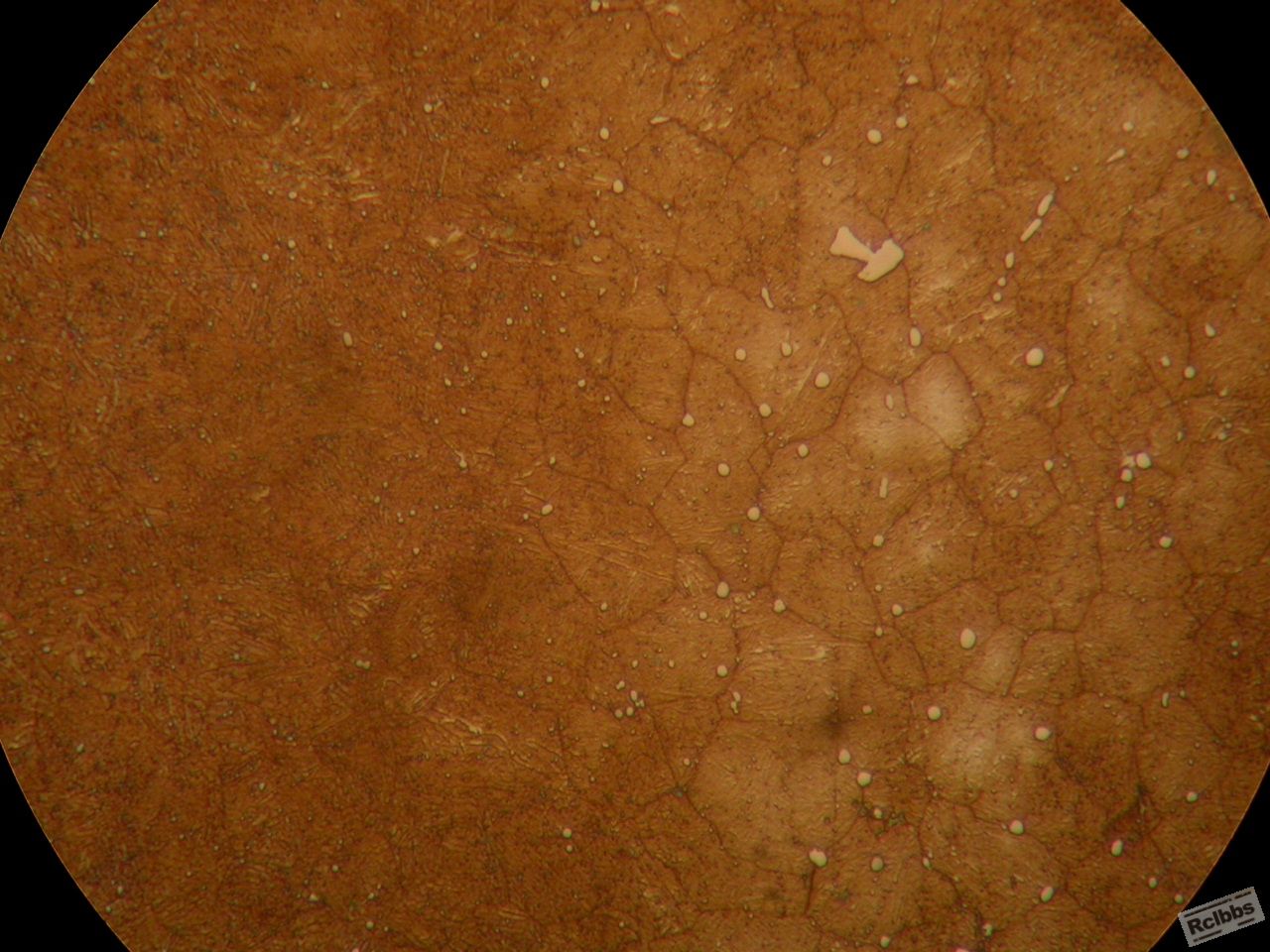 DSCN1307.JPG