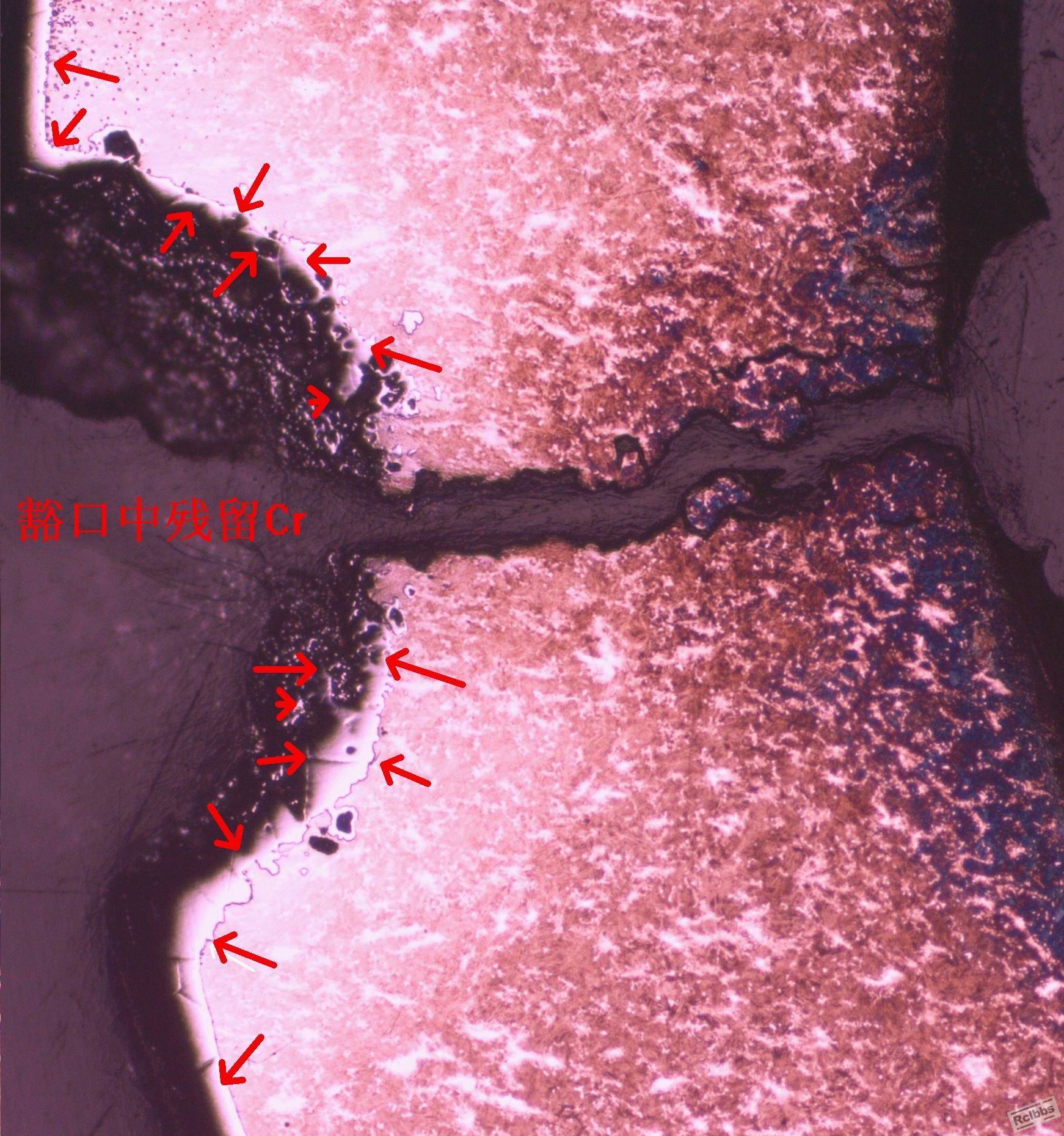 100X-11.jpg
