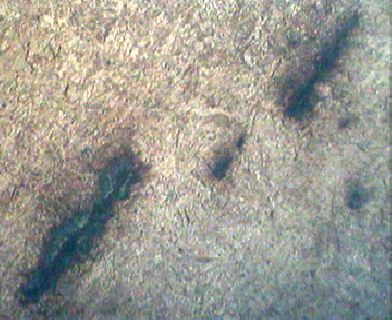 100X(经腐蚀).jpg
