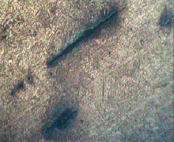 100X(经腐蚀)3.jpg