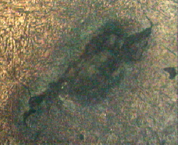400X(经腐蚀).jpg