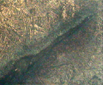尾400X(经腐蚀).jpg