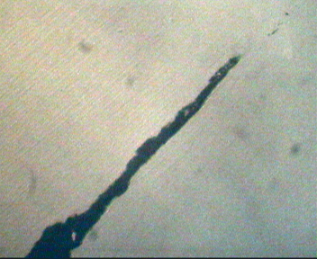 尾400X(未腐蚀).jpg