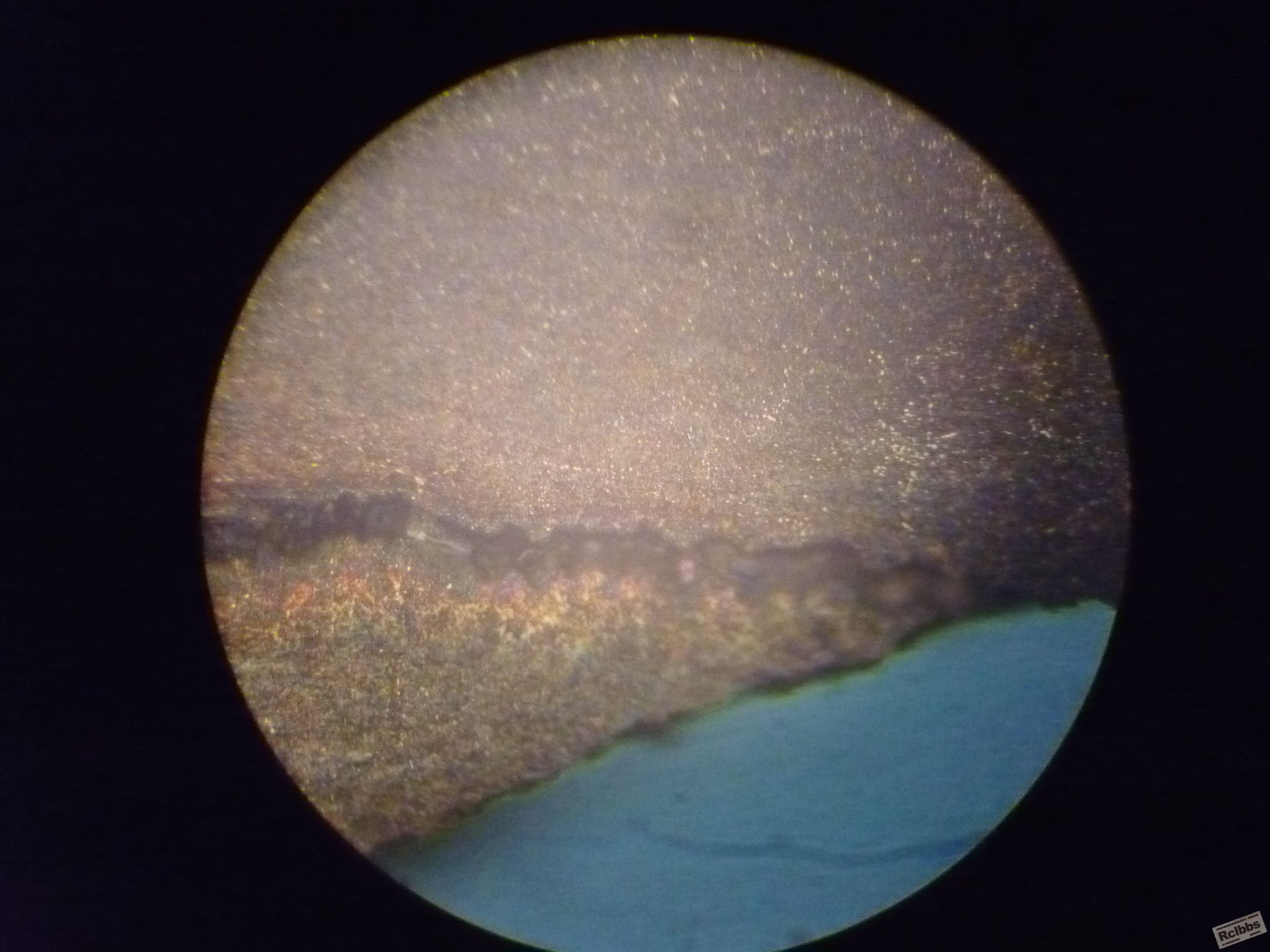 P1010335.JPG