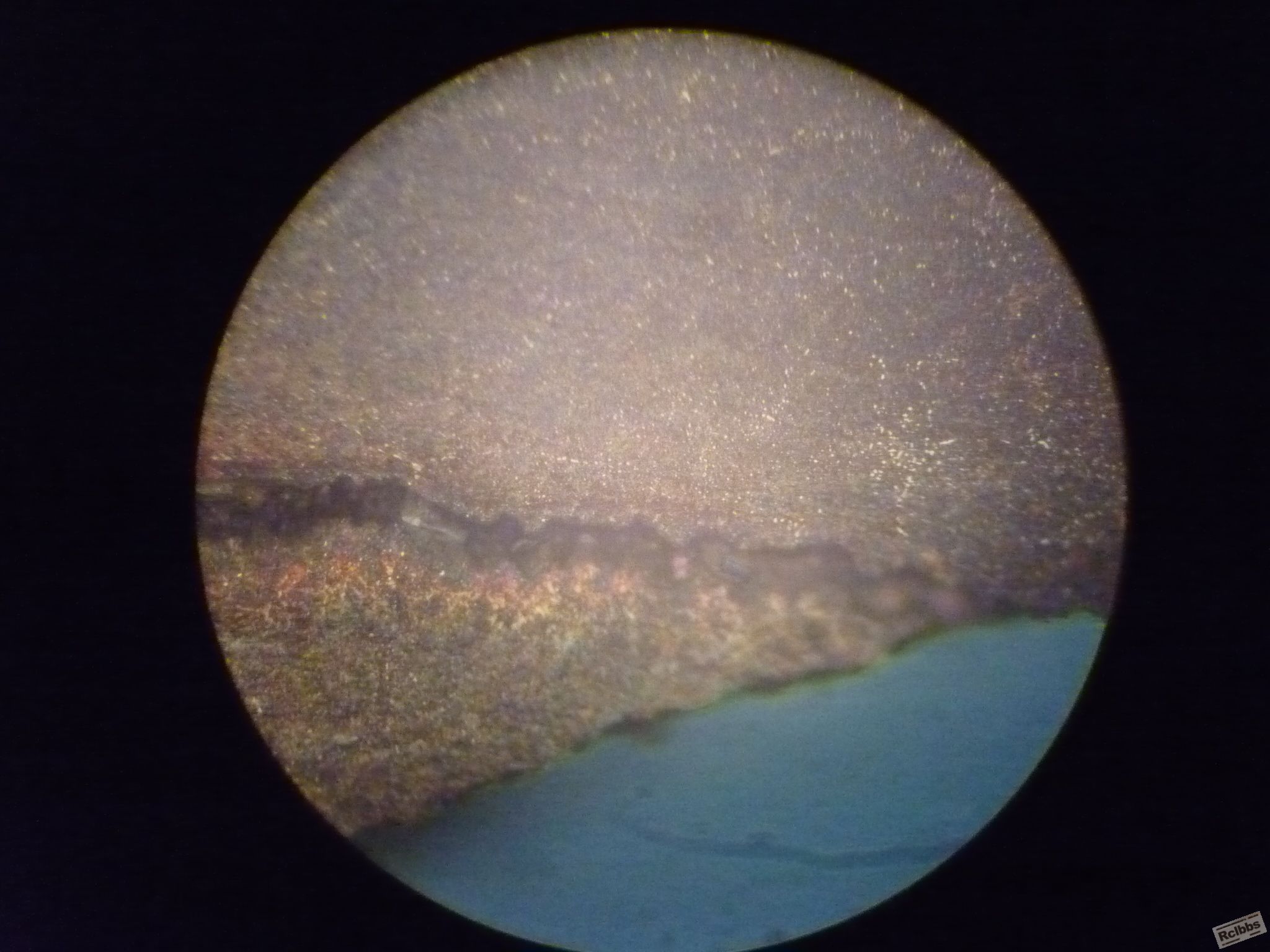 P1010336.JPG