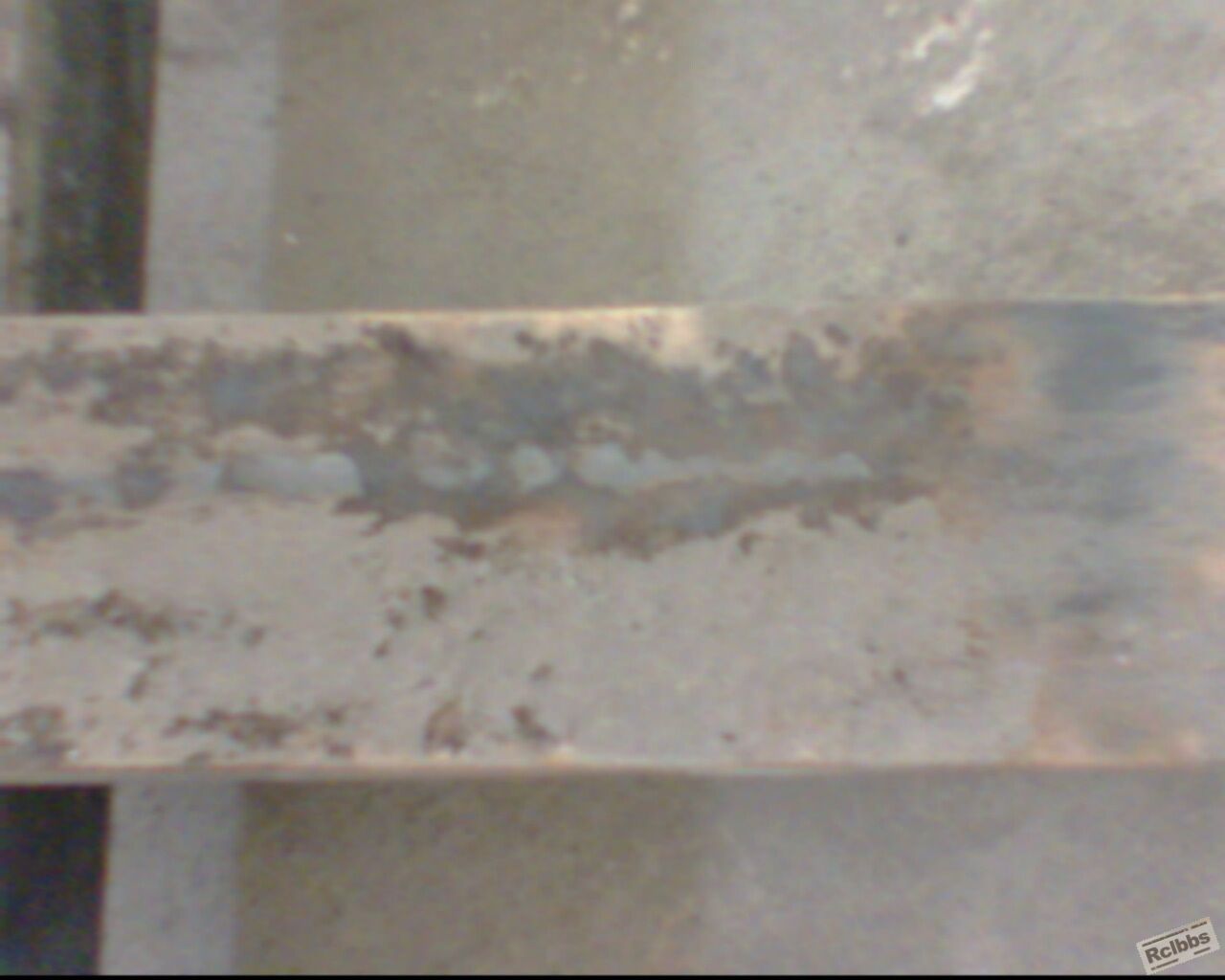 IMG0551A.jpg