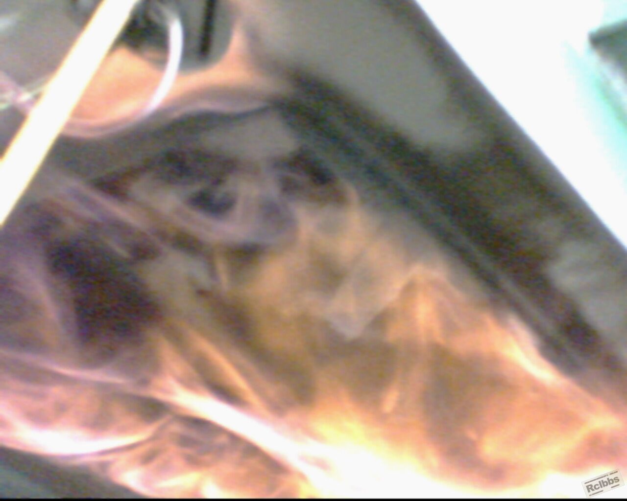 IMG0544A.jpg