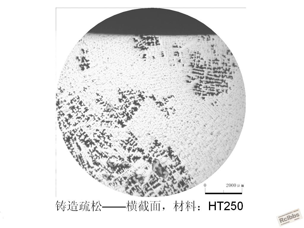46.JPG