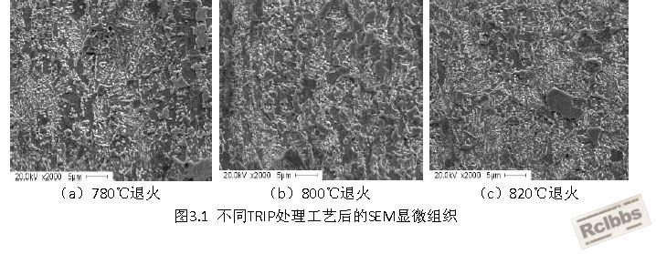 无标题.jpg