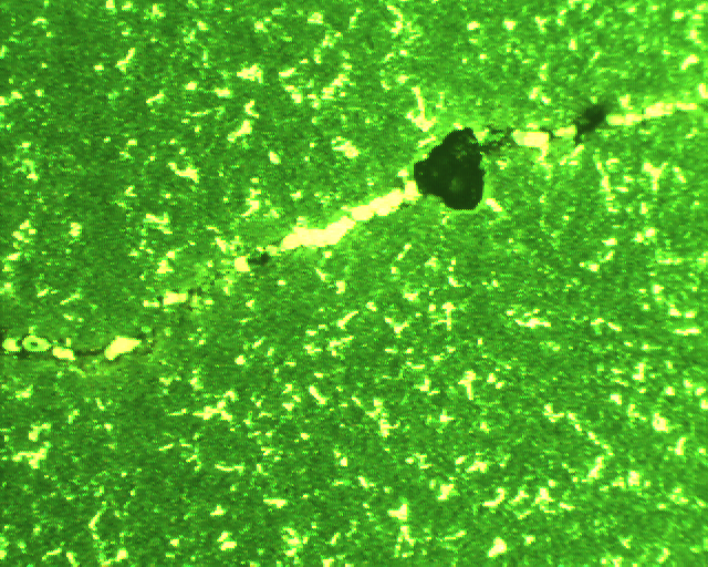 浸蚀后100X  3.jpg