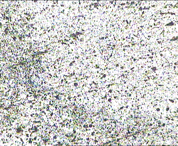 m.jpg