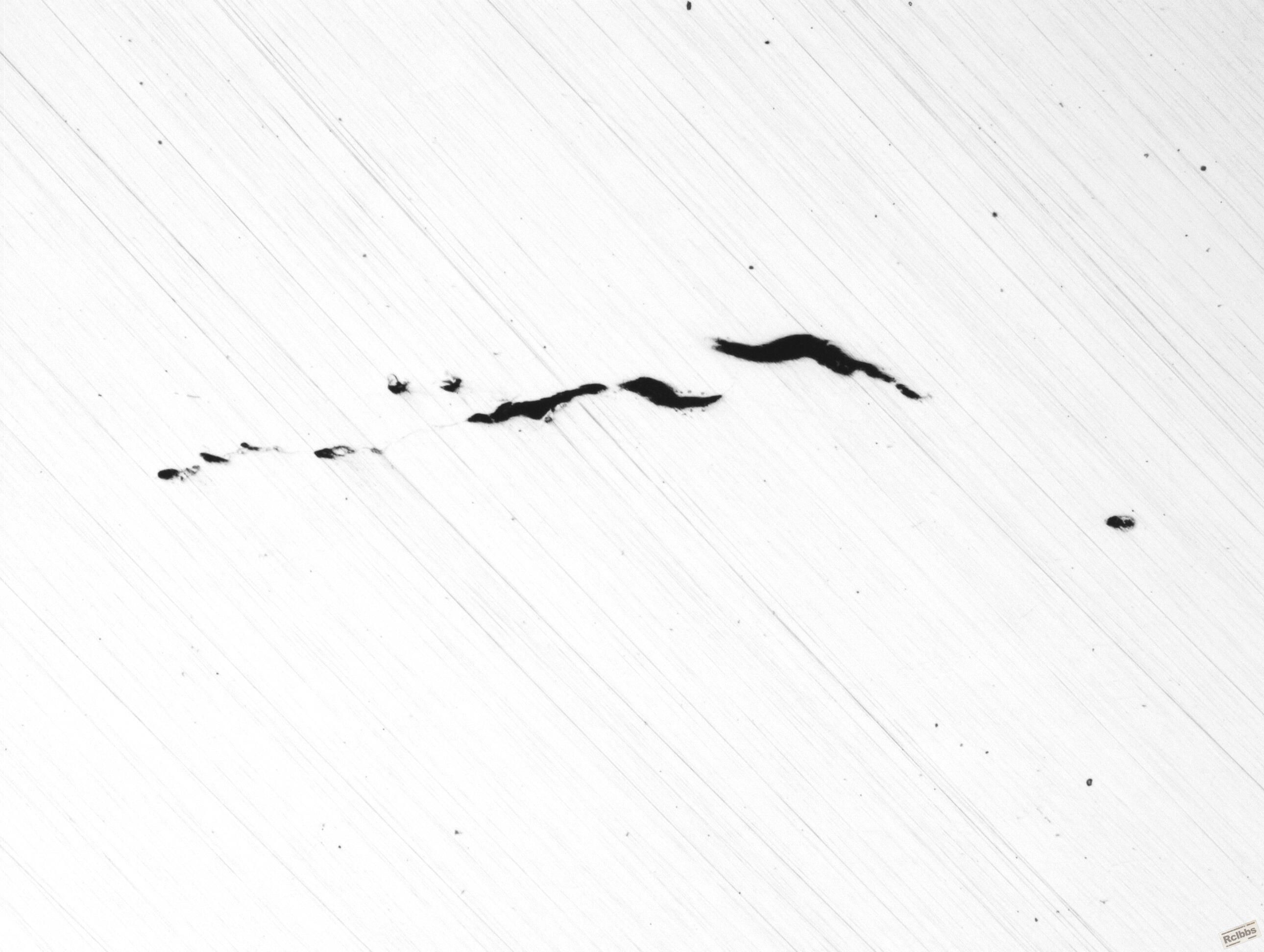 x100-4.jpg