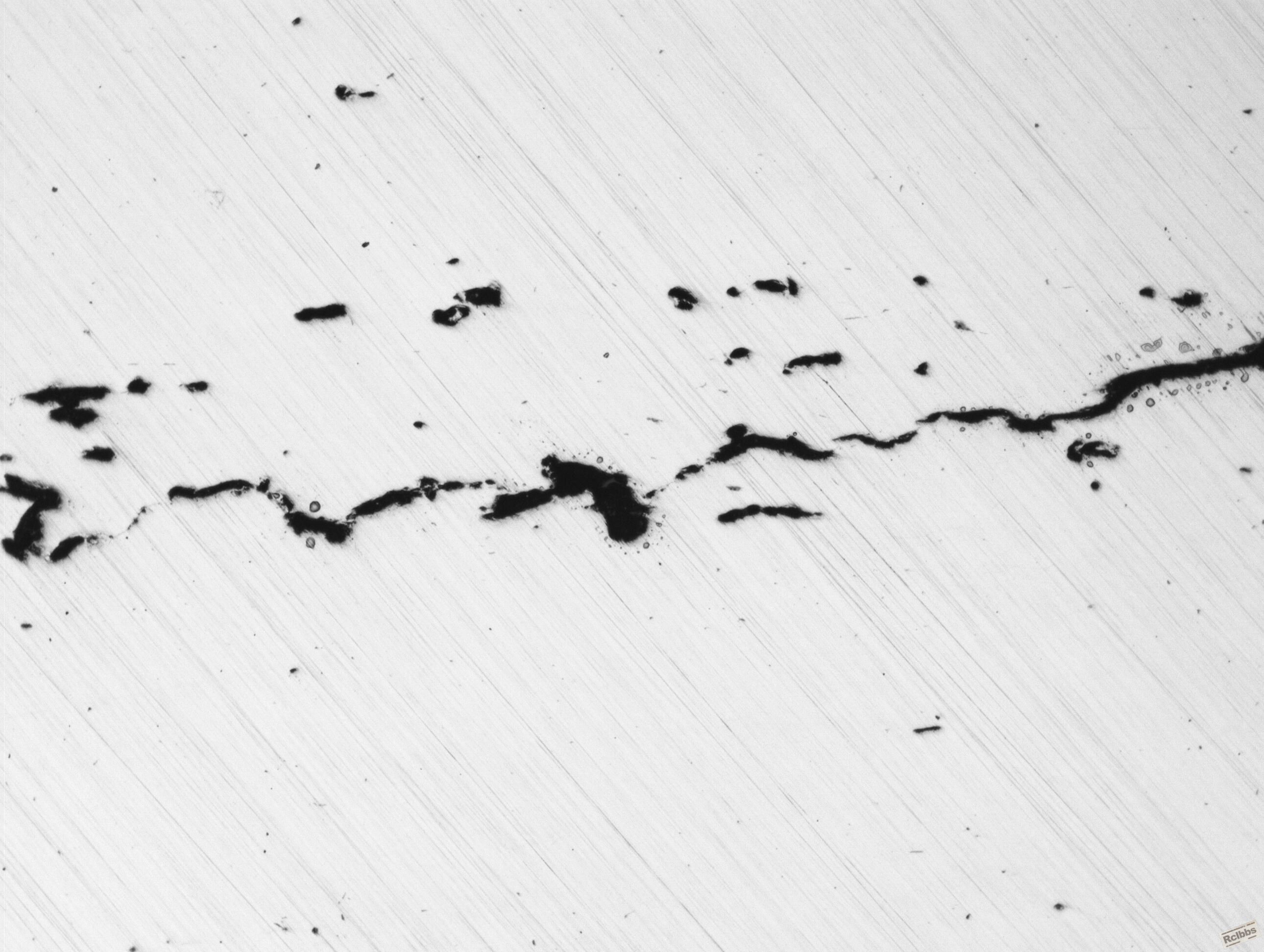 x100-3.jpg