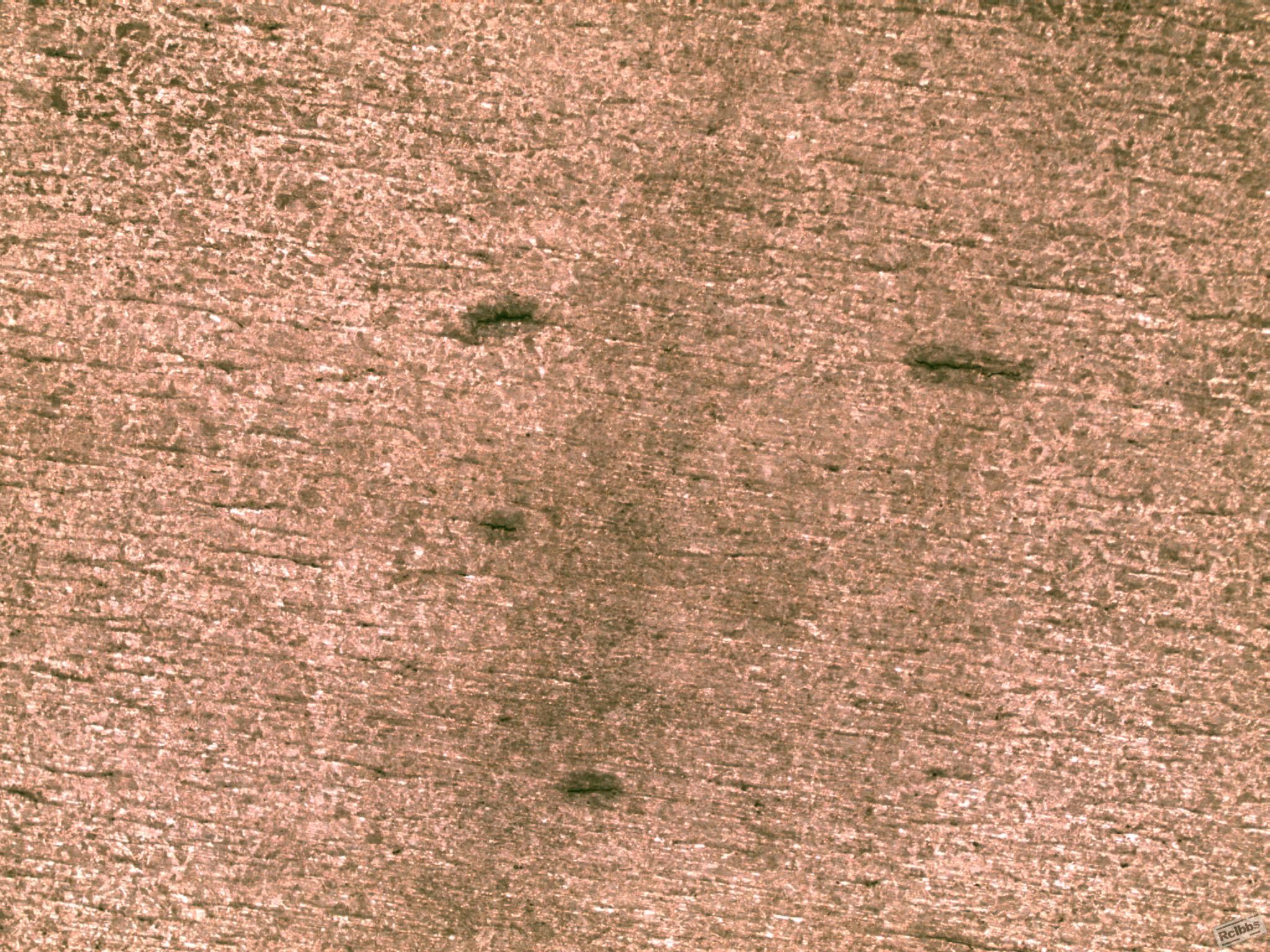 8x50.jpg146.Jpg