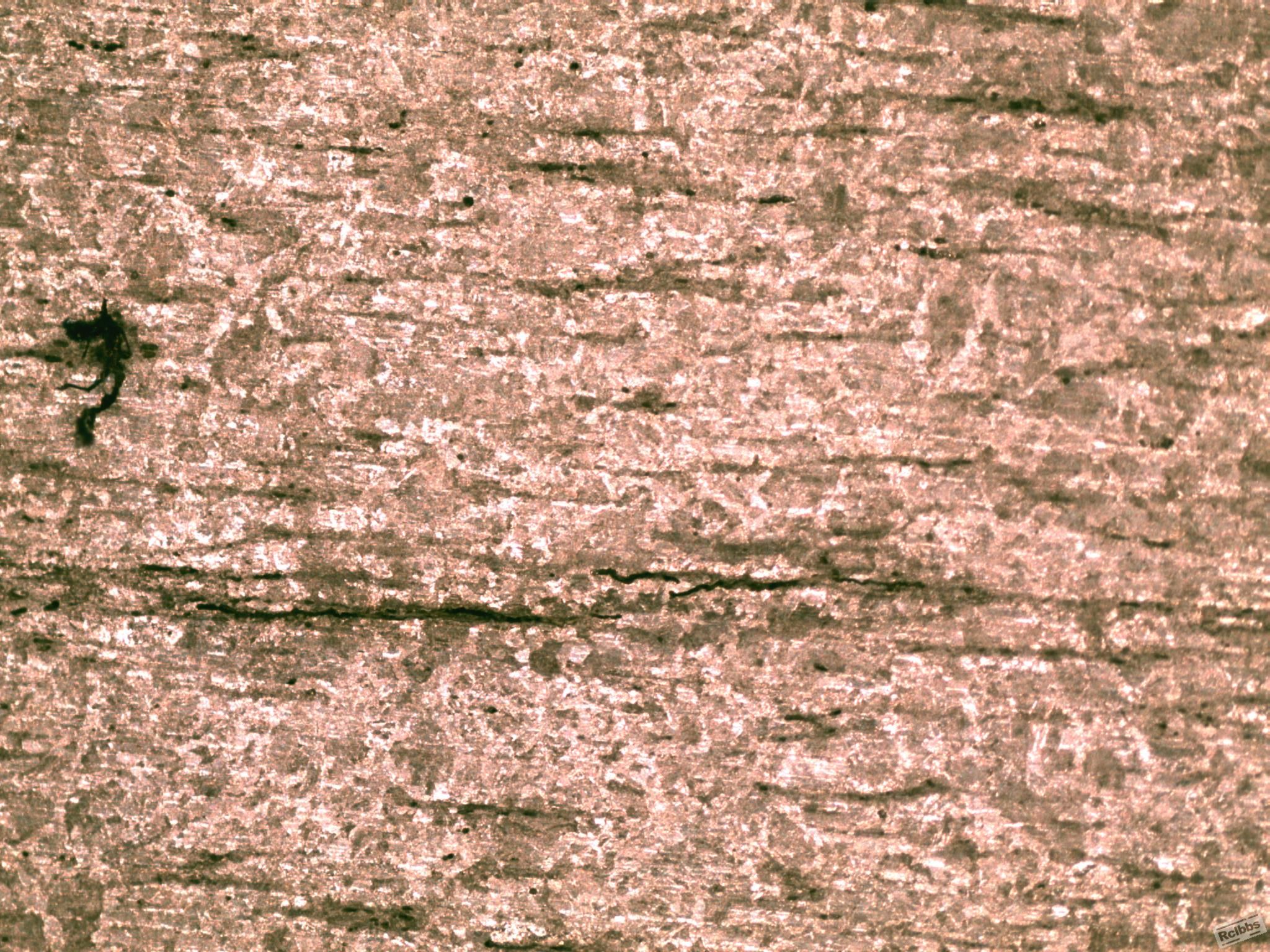 8x160.jpg153.Jpg