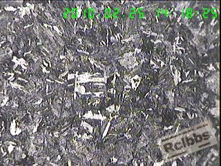 100X横截面近心部组织, 细片状P 块状F 粒状B,.jpg