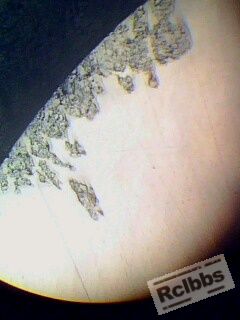 IMG0454A.jpg