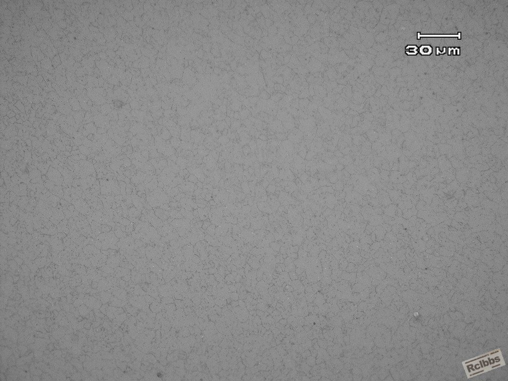P01_500x.JPG
