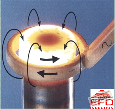 fa.jpg