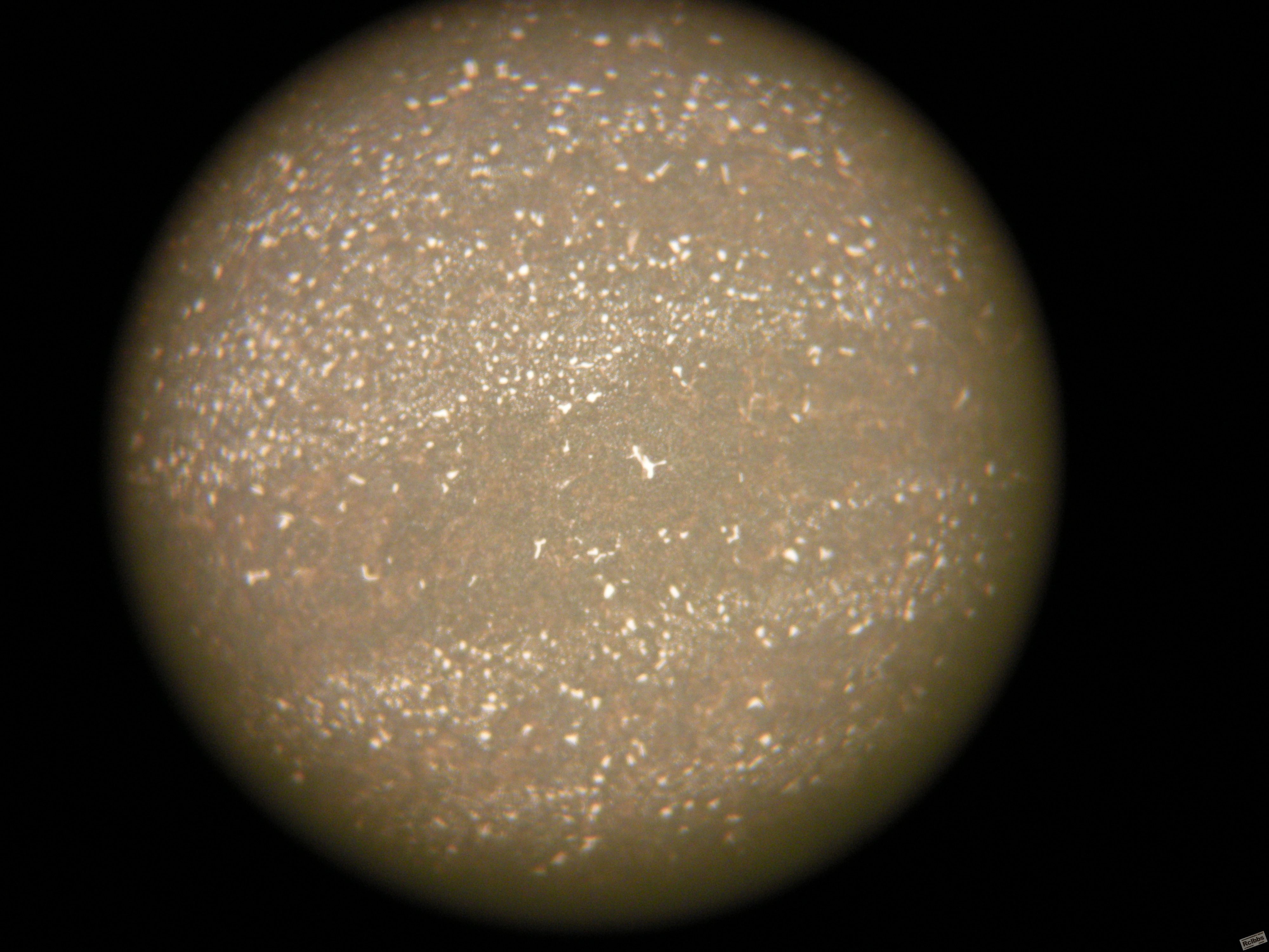 DSCN0841.jpg