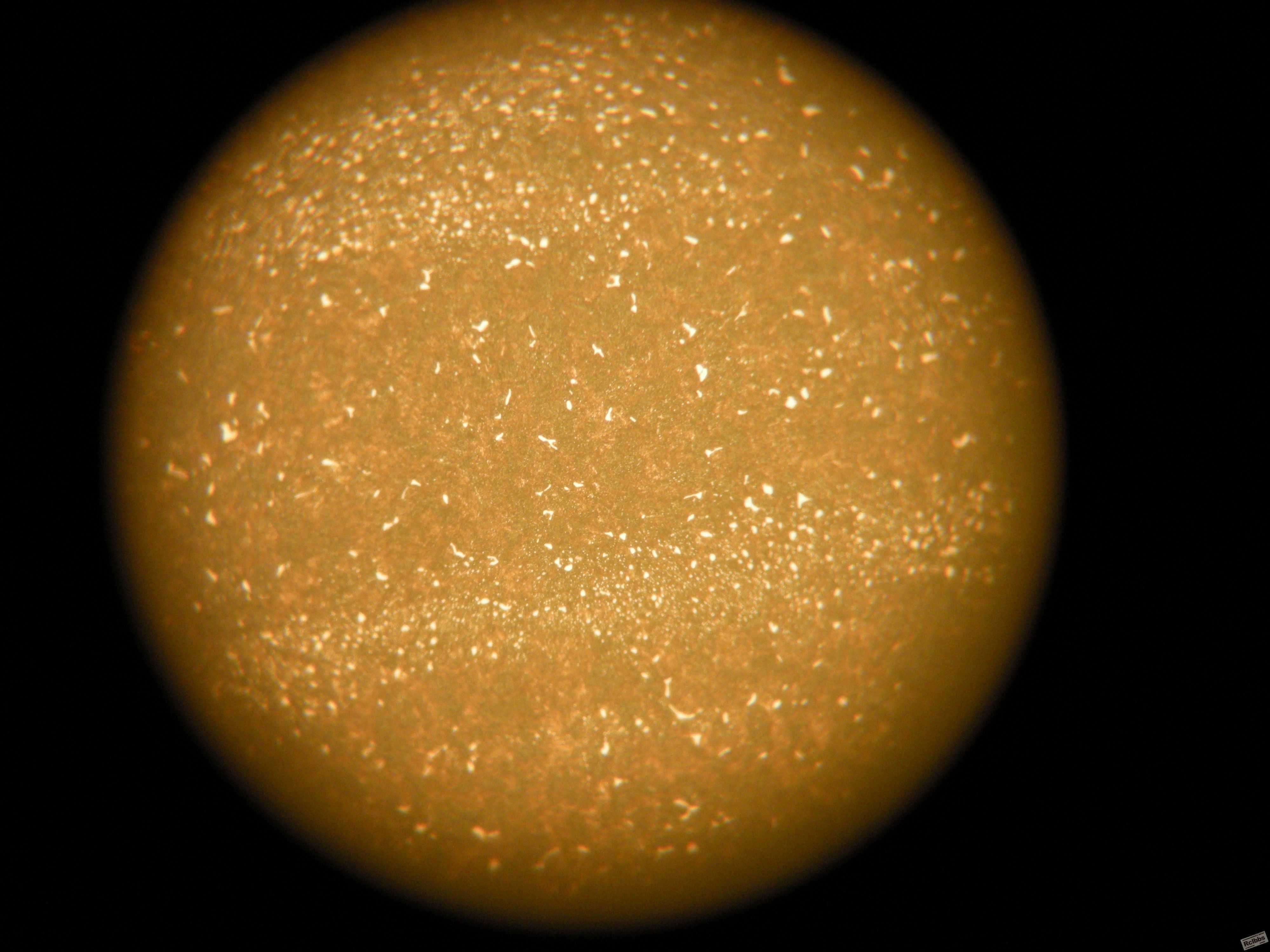 DSCN0842.jpg
