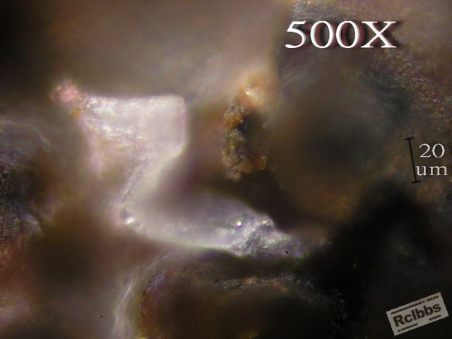 P3053505.jpg