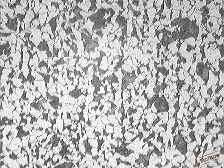20100330131722_010_811_811.jpg