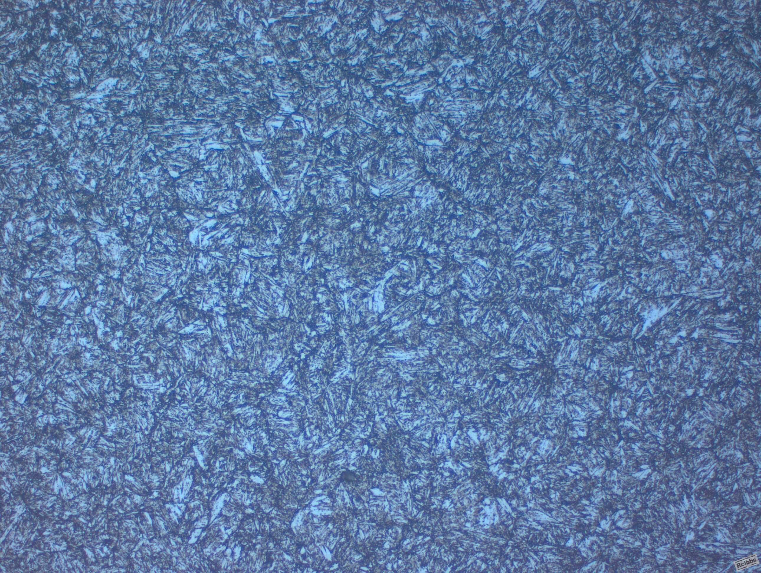 1000329_008.JPG