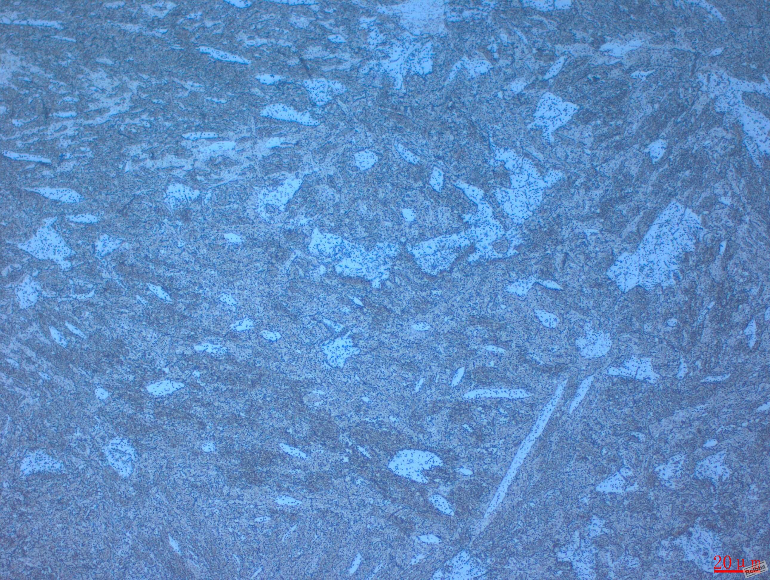500x