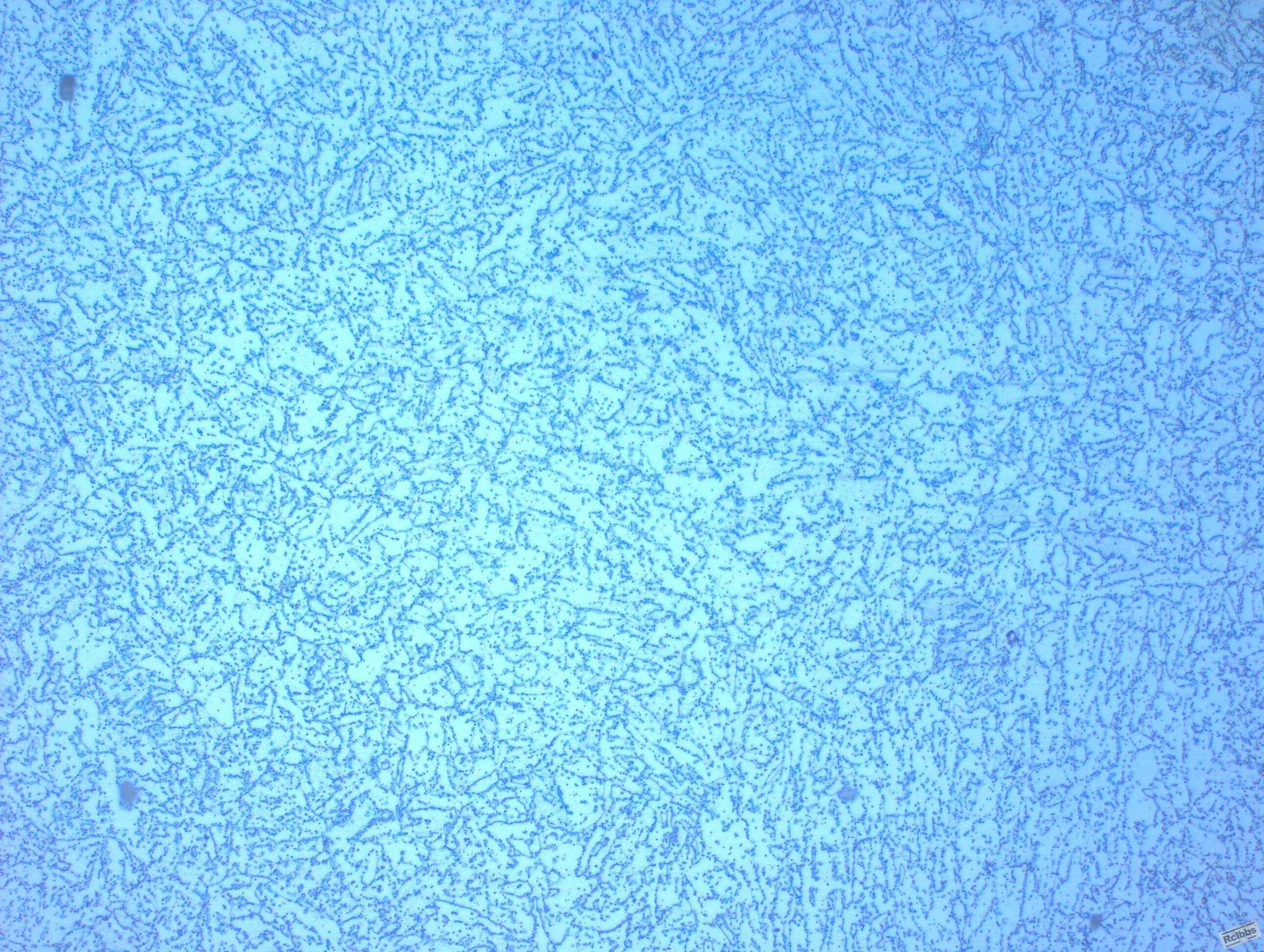 1000329_011.JPG