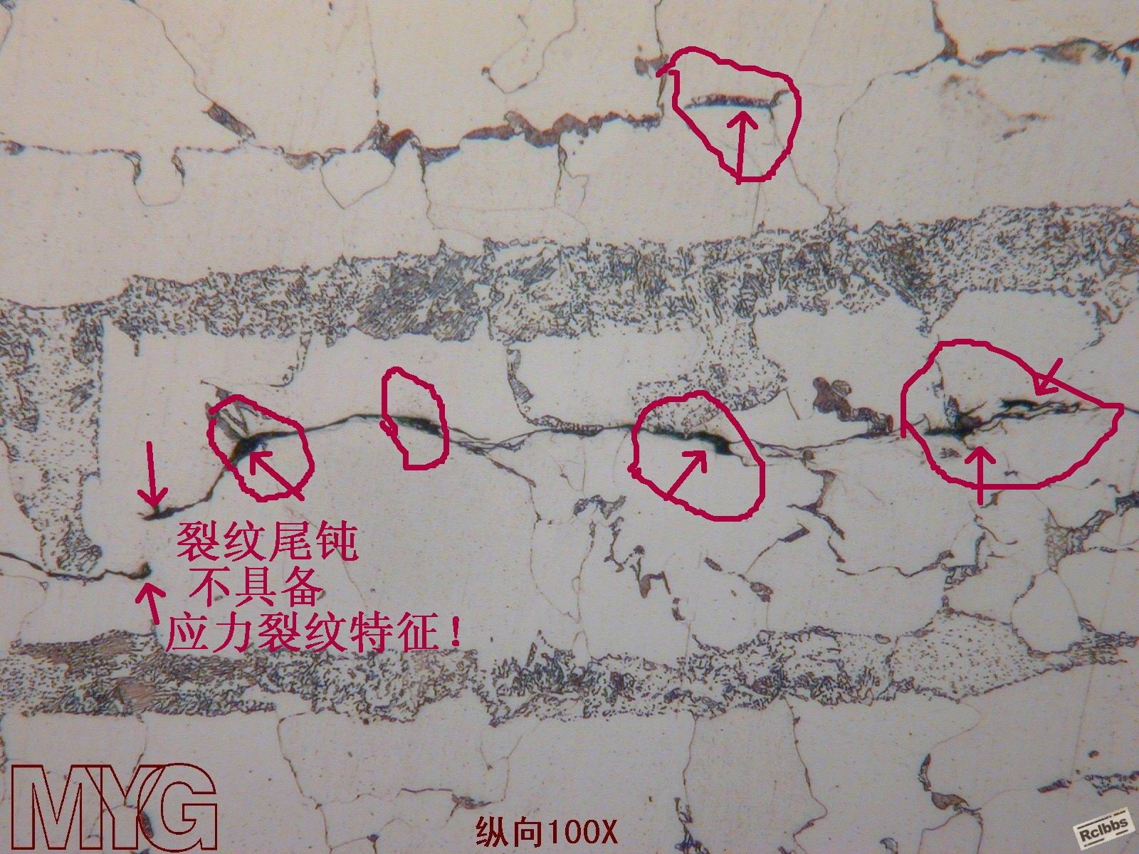 2QQ.jpg