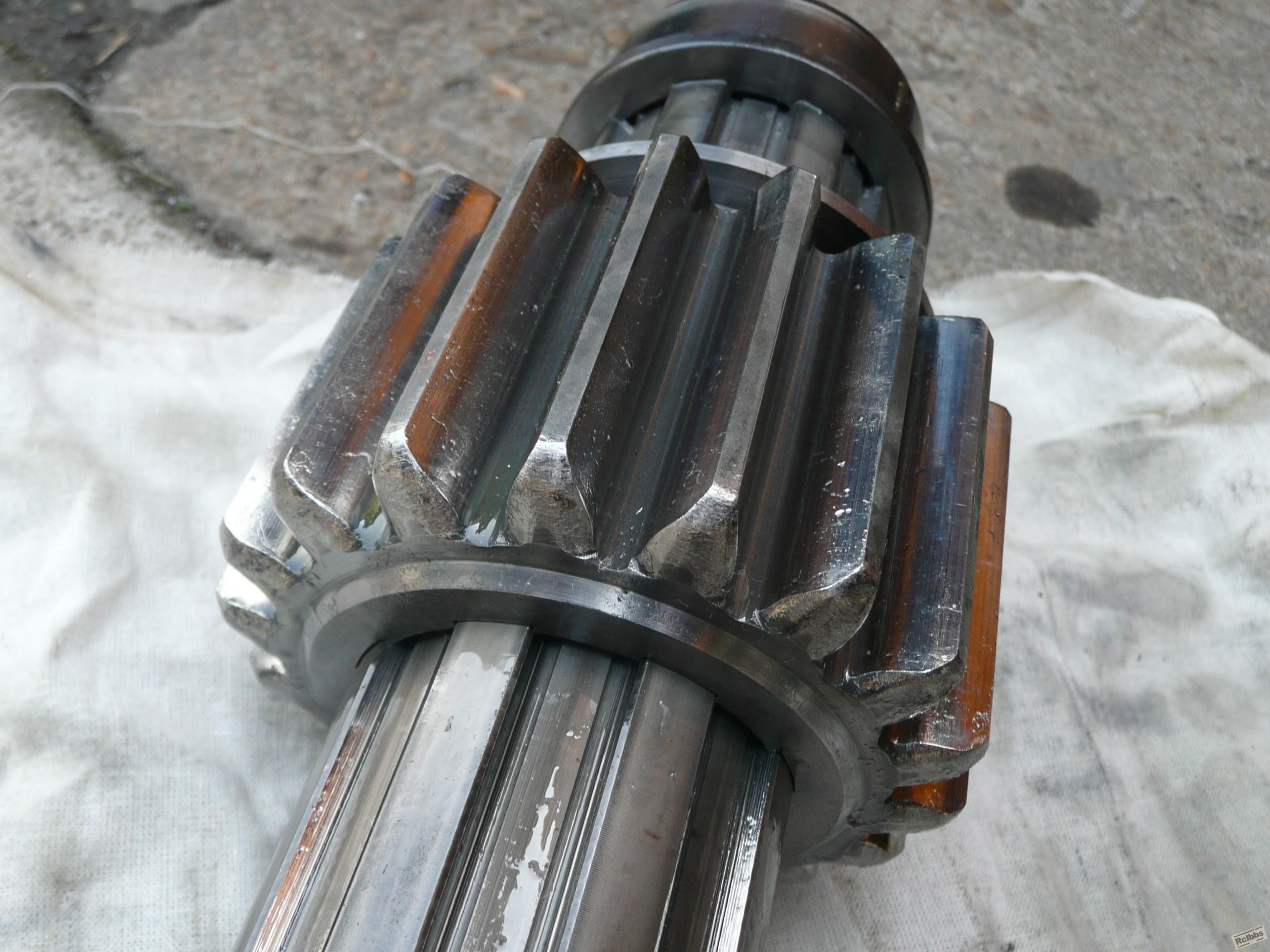 P1040625-1.JPG