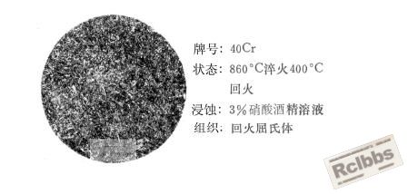 2007101210326881.jpg