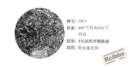 20071012103141624.jpg