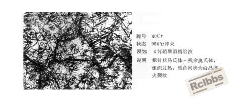 2007101210364816.jpg