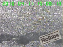 100X纵截面断口裂纹处,断口与头部锻造流线平行1,.jpg