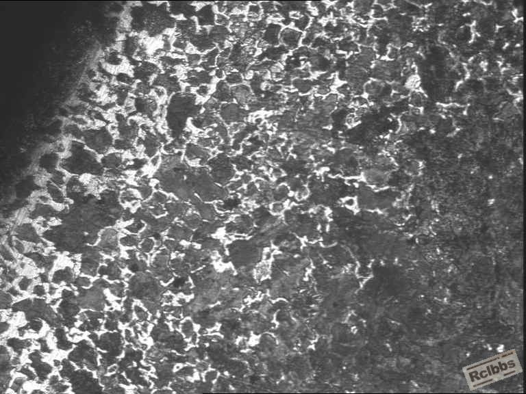 脱碳0.8φ42-100x1.jpg