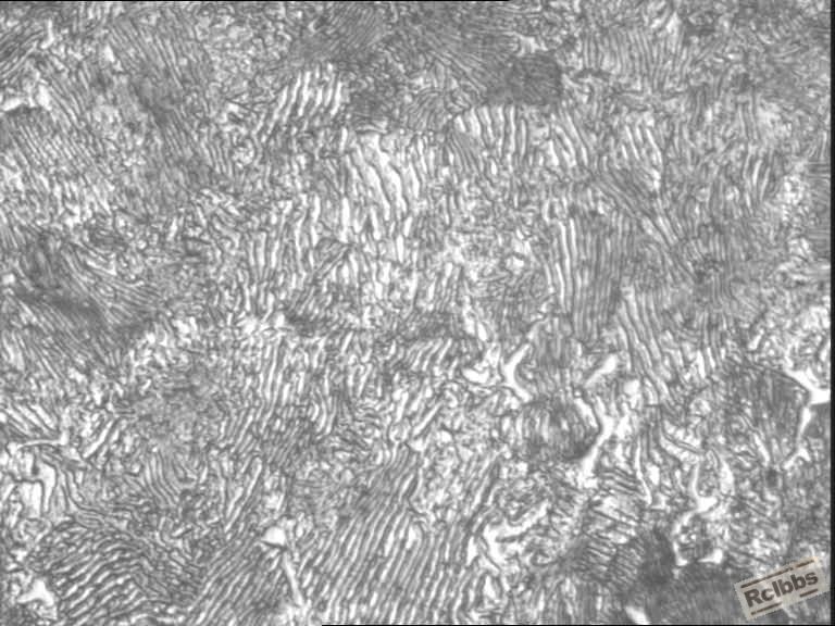 粗片Pφ42-500x1.jpg