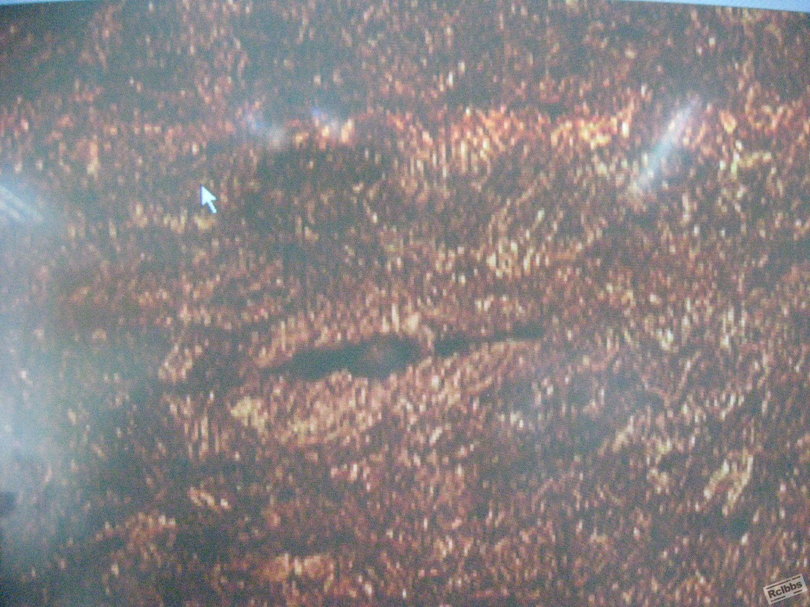 y.jsp.jpg