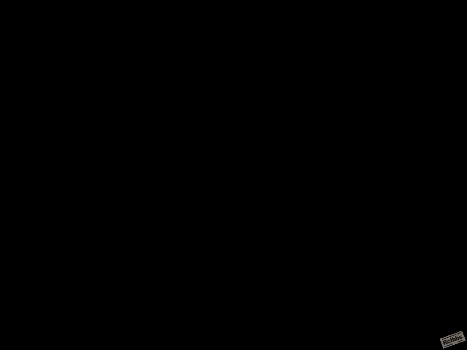 w.jsp.jpg