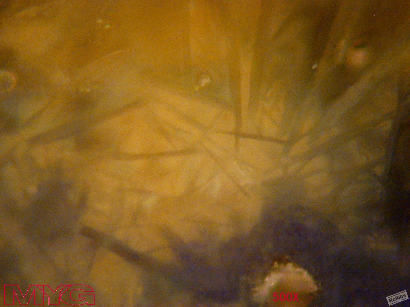 qh 023.jpg