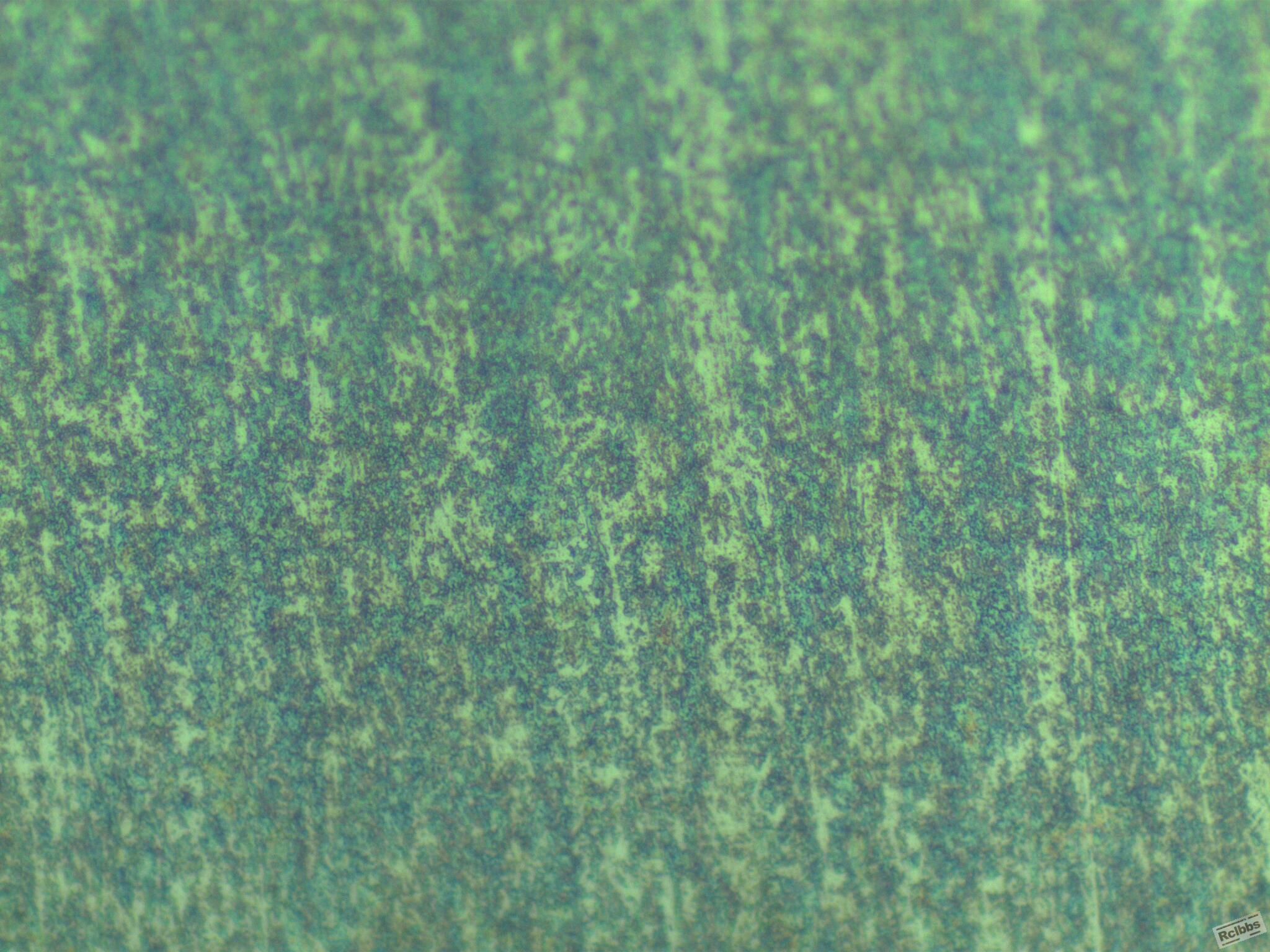 6015-500x-1.jpg