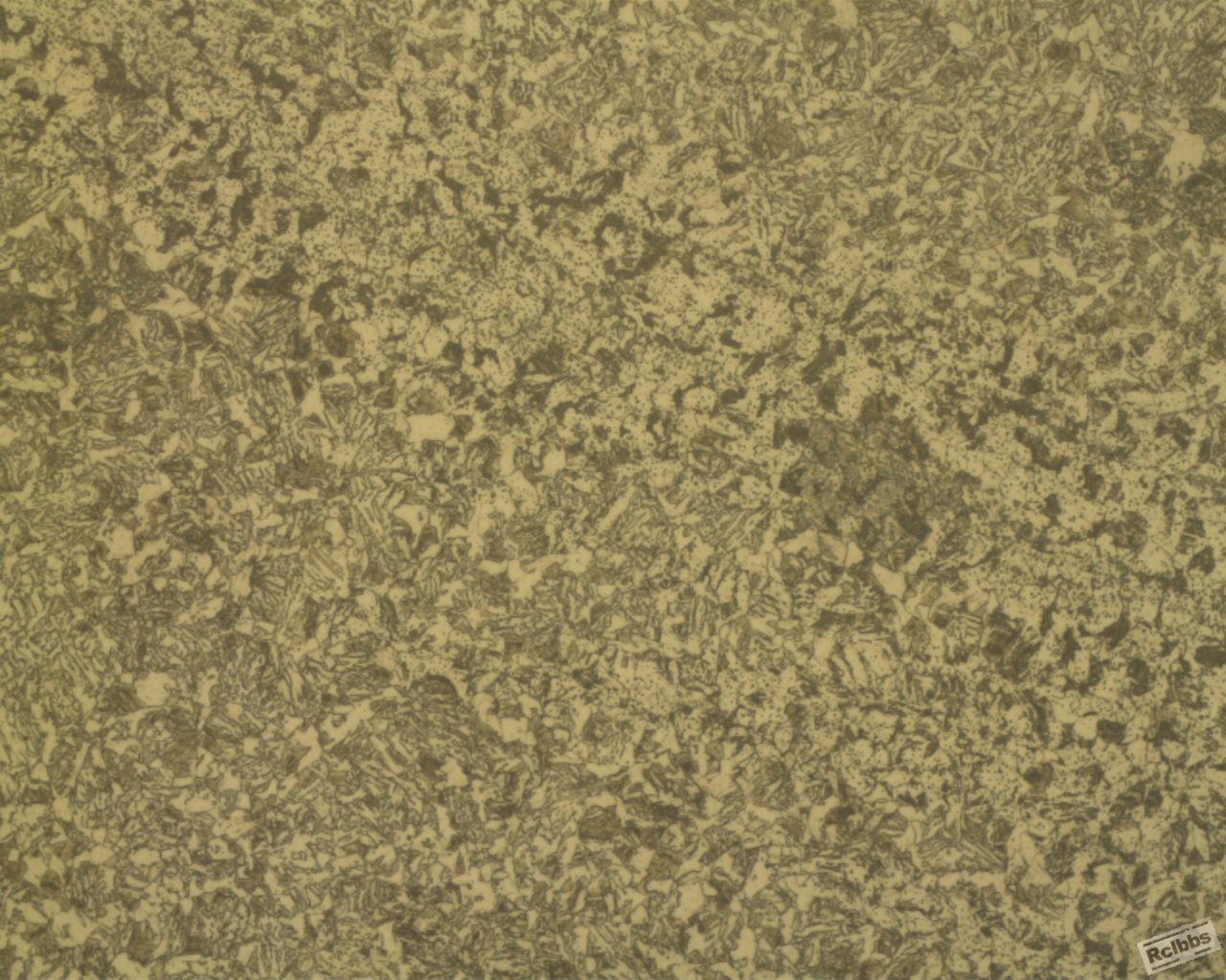 500X_10.jpg