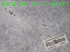 400X截面沿晶裂纹3.jpg