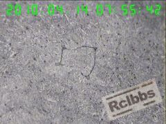 400X截面内部沿晶裂纹，夹杂物沿裂纹分布，.jpg