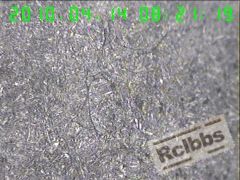400X截面沿晶裂纹2.jpg