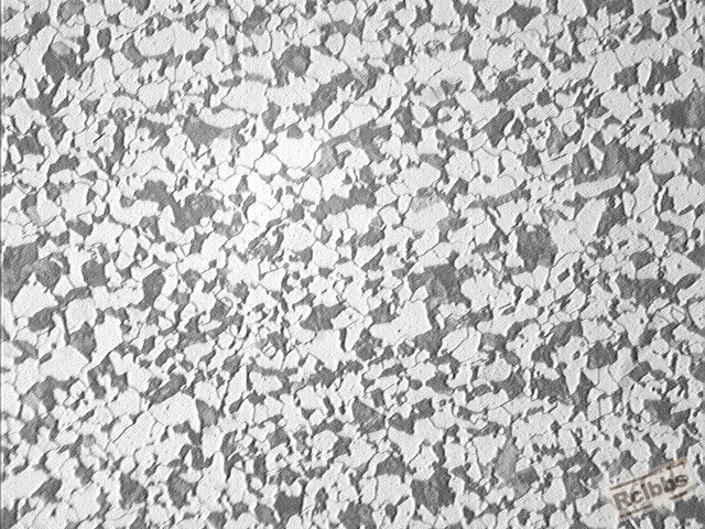 20100417084145_010_811_811.jpg